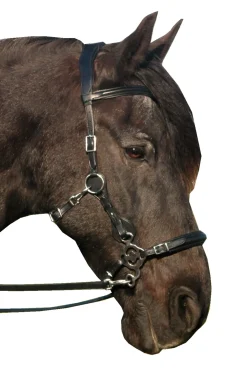 fra Calli Hackamore Bridle (Syst.2) W/Jaw Straps, Scissors & Rein Black Hot