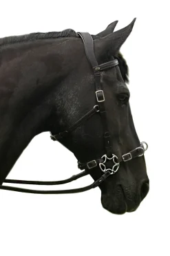 fra Caval Compl. Cavemore Bridle (Syst.2) W/ Scissors & Reins Black Clearance