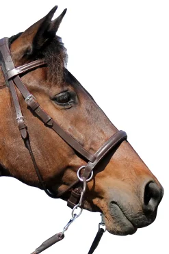 fra F.R.A. El Camin Bitless Bridle (System 5) W/ Soft Reins Brown Hot