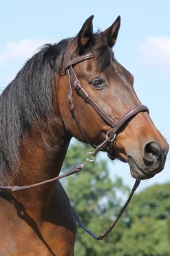 fra F.R.A. El Camin Bitless Bridle (System 5) W/ Soft Reins Brown Hot