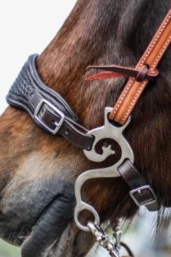 fra F.R.A. Ensemble Hackamore Ss Music, 140Mm Stainless Steel Outlet