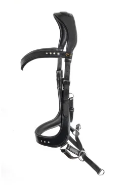 fra F.R.A. Glory Systeme 4 / Ennasure Croisee Menton Black New