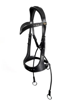 fra F.R.A. Glory Systeme 5 / Ennasure Bitless, Noir Black Hot
