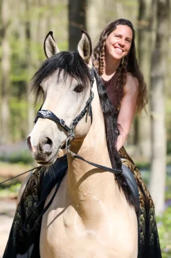 fra F.R.A. Imperial Bridon Hackamore, Shire Black Online