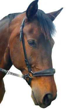 fra Lami Bitless Bridle (System 4) W/ Reins & Studhook Connect Black Clearance