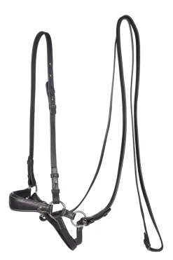 fra Lami Bitless Bridle (System 4) W/ Reins & Studhook Connect Black Clearance