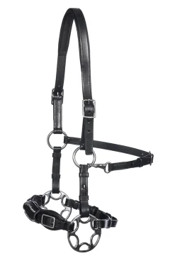 fra Miranti Hackamore (System 2) Leather, Jaw Straps, W/ Scissors Black