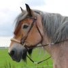 fra F.R.A. Tinver Bitless Bridle (System 4) Soft Leather Reins Incl Brown New