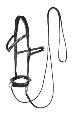 fra F.R.A. Wendy B Cavesson, Bitless Bridle, Leather Reins W/ Clip Black New