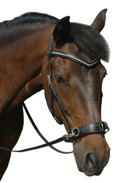 fra F.R.A. Wendy B Cavesson, Bitless Bridle, Leather Reins W/ Clip Black New