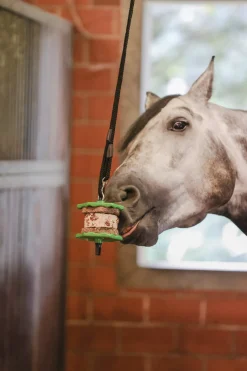 delizia Friandise Pour Cheval Sandwich, 195G Carrot Clearance