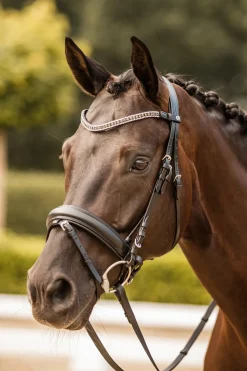 horze Frontal Avec Cristaux Columbia Noir/Argente Hot