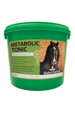 globalherbs Global Herbs Metabolic Tonic, 1 Kg Green Sale