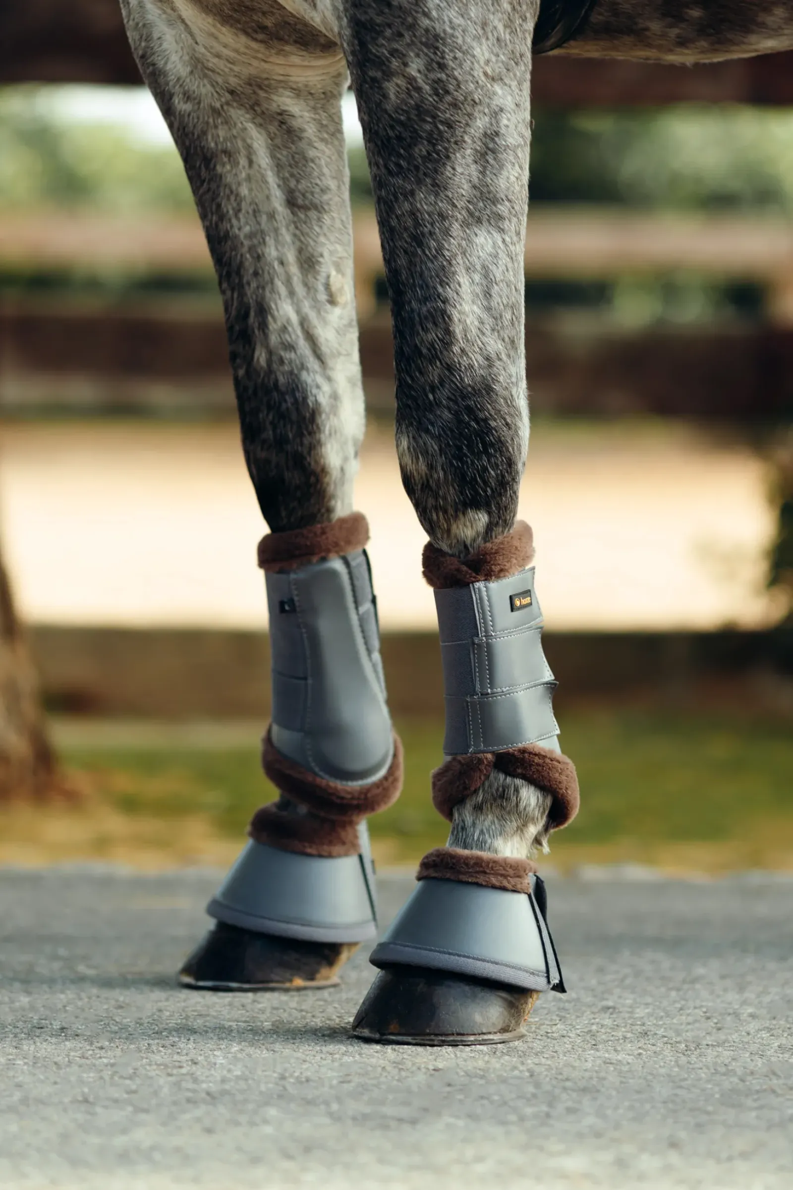 horze Guetres De Protection Fermees Protege-Tendons Avec Doublure Fausse Fourrure Houston Charcoal Grey Online