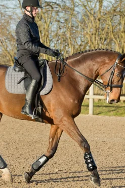 horze Guetres De Protection Fermees, Protege-Tendons Laval Noir Clearance