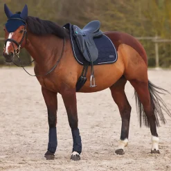 horze Guetres De Protection Fermees Protege-Tendons En Neoprene Marquess Dark Navy