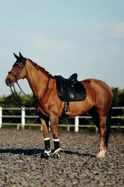 bvertigo Guetres De Protection Protege Tendons Fermes B Vertigo Drew Avec Doublure En Fausse Fourrure Black Best