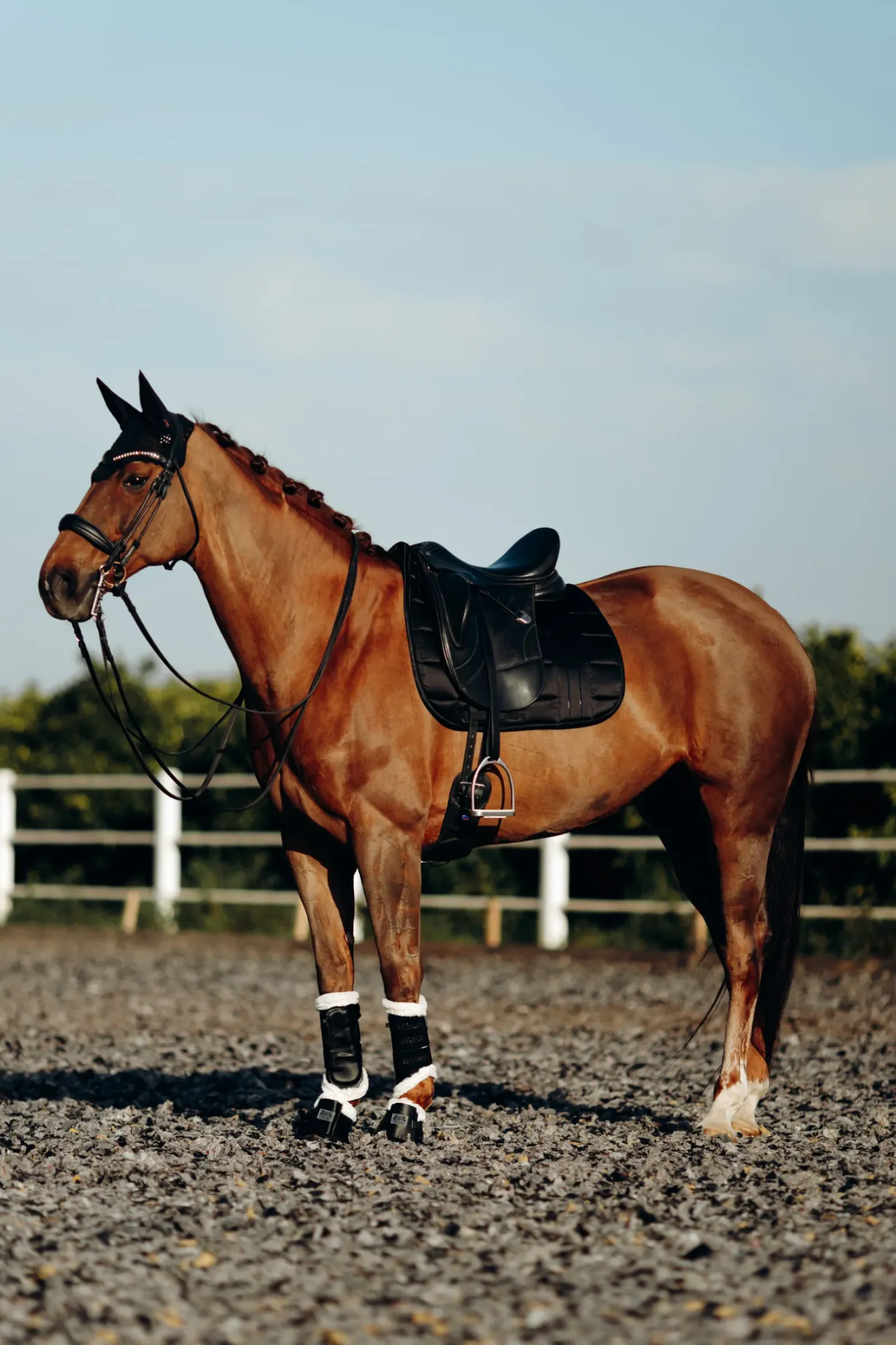 bvertigo Guetres De Protection Protege Tendons Fermes B Vertigo Drew Avec Doublure En Fausse Fourrure Black Best