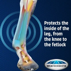 weatherbeeta Guetres De Protection Protege-Tendons Doublees De Pure Laine Black Outlet