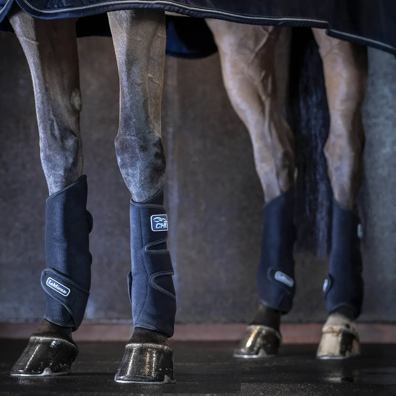 lemieux Guetres De Refroidissement Le Mieux Tendon Chill Black Clearance