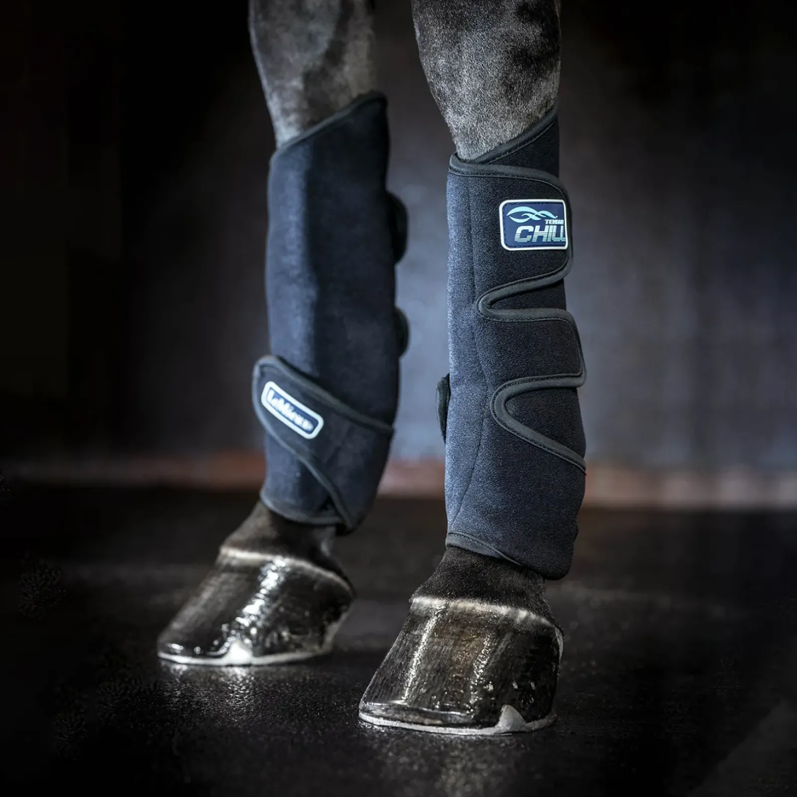 lemieux Guetres De Refroidissement Le Mieux Tendon Chill Black Clearance