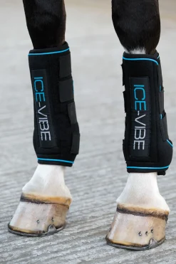 horseware Guetres Ice-Vibe Black/Aqua Blue Hot