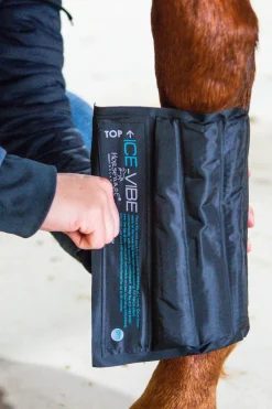 horseware Guetres Ice-Vibe Black/Aqua Blue Hot
