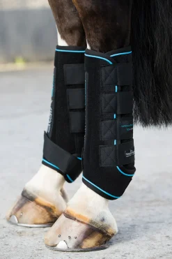 horseware Guetres Ice-Vibe Black/Aqua Blue Hot