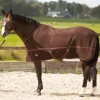 harryshorse Harry'S Horse Couverture Polaire Bracken Brown