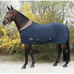 harryshorse Harry'S Horse Teddyfleece Rug 1/2 Neck Db/Ab Outlet