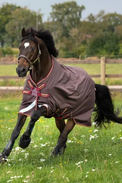 horseware Amigo Bravo 12 T/O Legere Avec Disque Frn, 0G Brown/Red/Gold/Red Discount