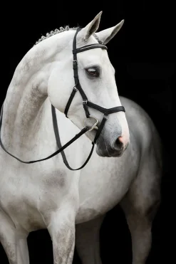 horseware Rambo Micklem Diamante Comp Black Outlet