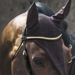 jacson Browband Cambridge Black Hot