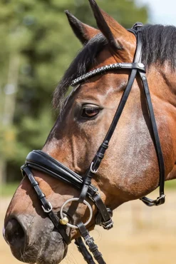 kavalkade Ayana Kavalsh4 Bridle Black