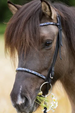 kavalkade Blar Combined Noseband For Kjartan Icelandic Bridle Black Clearance