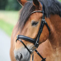 kavalkade Clinchesse Bride Black/Silver Best