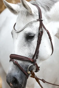 kavalkade Everness Bridle Brown Outlet