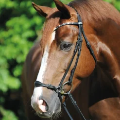kavalkade Fiala Bridle Black Hot