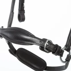kavalkade Fiala Bridle Black Hot