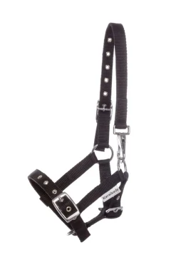 kavalkade Foal & Yearling Halter Black Outlet