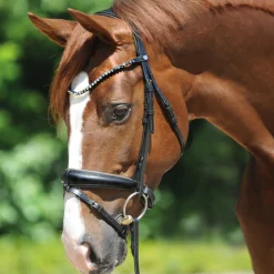 kavalkade Grey Bridle Black/Gray Hot