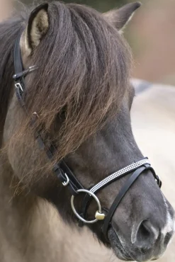 kavalkade Hvitur English Noseband For Aradis Icelandic Bridle Black Clearance
