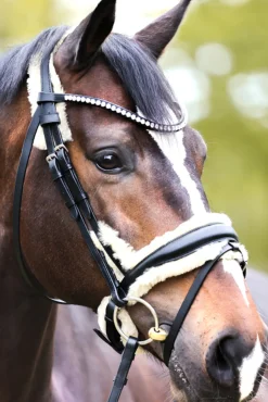 kavalkade Joyce Kavalsh4 Bridle Black
