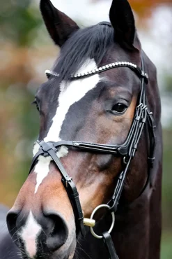 kavalkade Lucia Mexican Bridle Black/Patent Grey Online