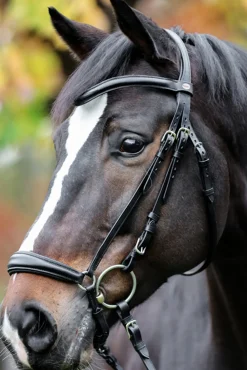 kavalkade Proline Anna Bridle Dropped Noseband Black Outlet
