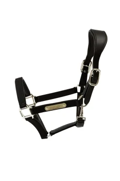 kentucky Horsewear Licol Anatomique En Nylon Black Hot
