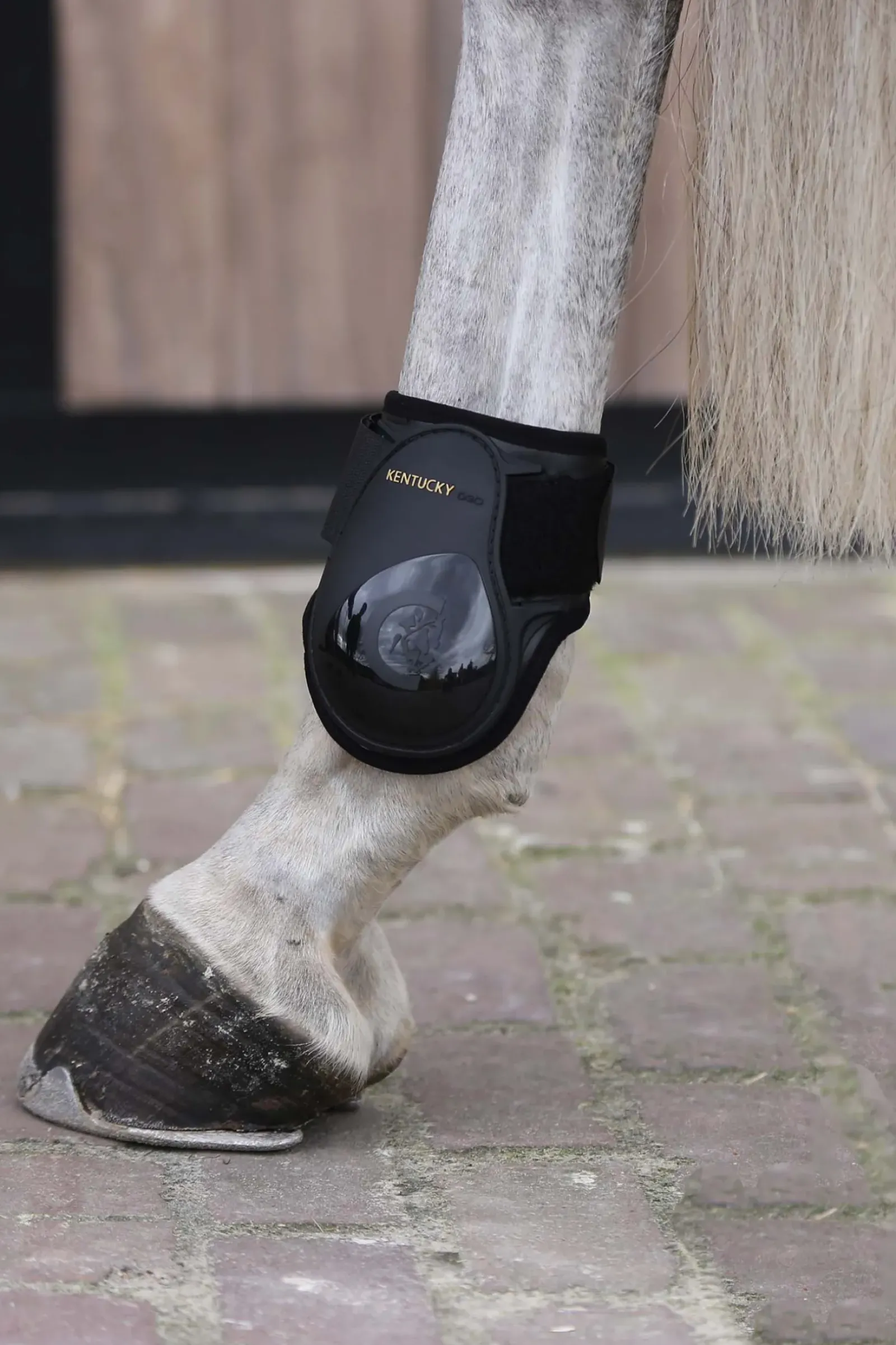 kentucky Horsewear Protege-Boulet Jeunes Chevaux Black Best