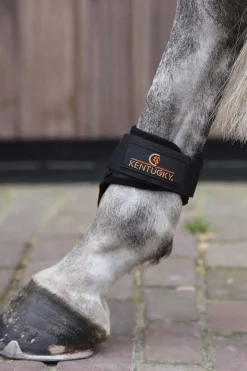 kentucky Horsewear Protege-Boulet Jeunes Chevaux Black Best