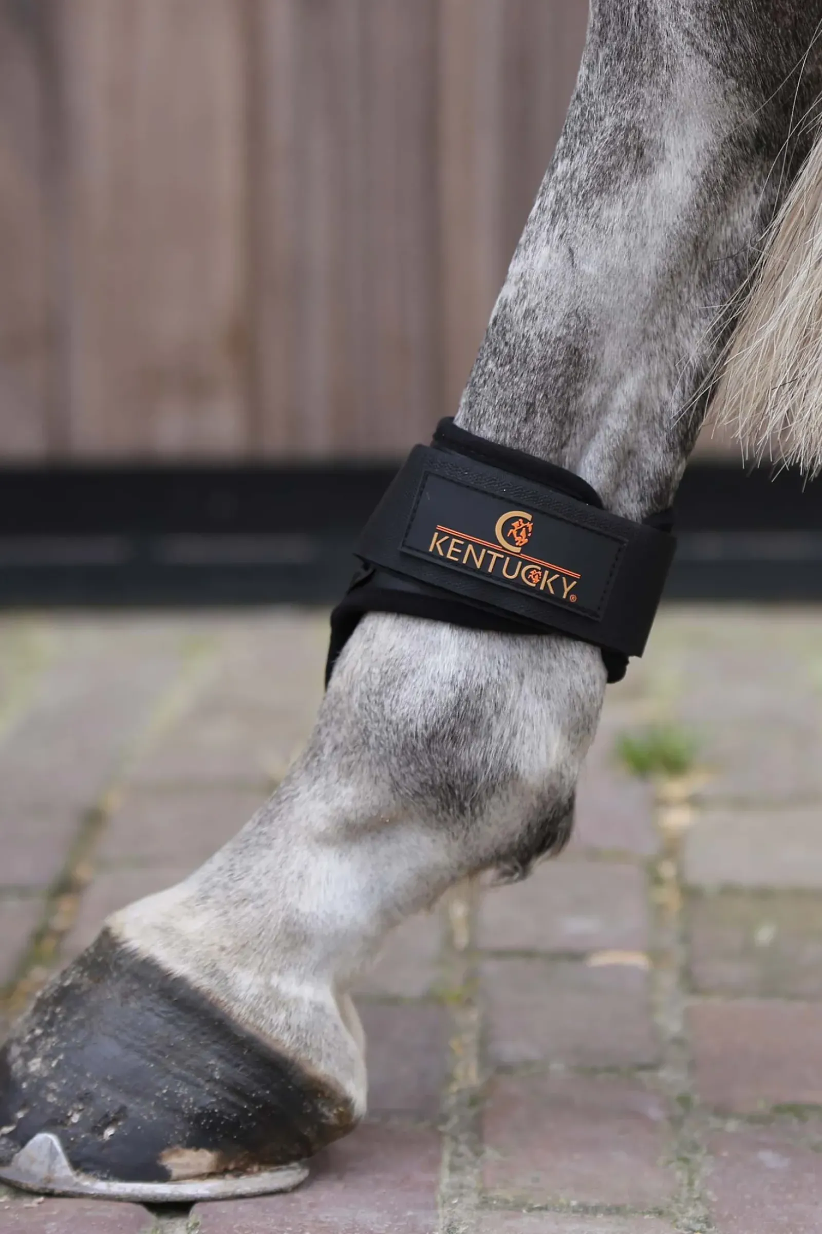 kentucky Horsewear Protege-Boulet Jeunes Chevaux Black Best