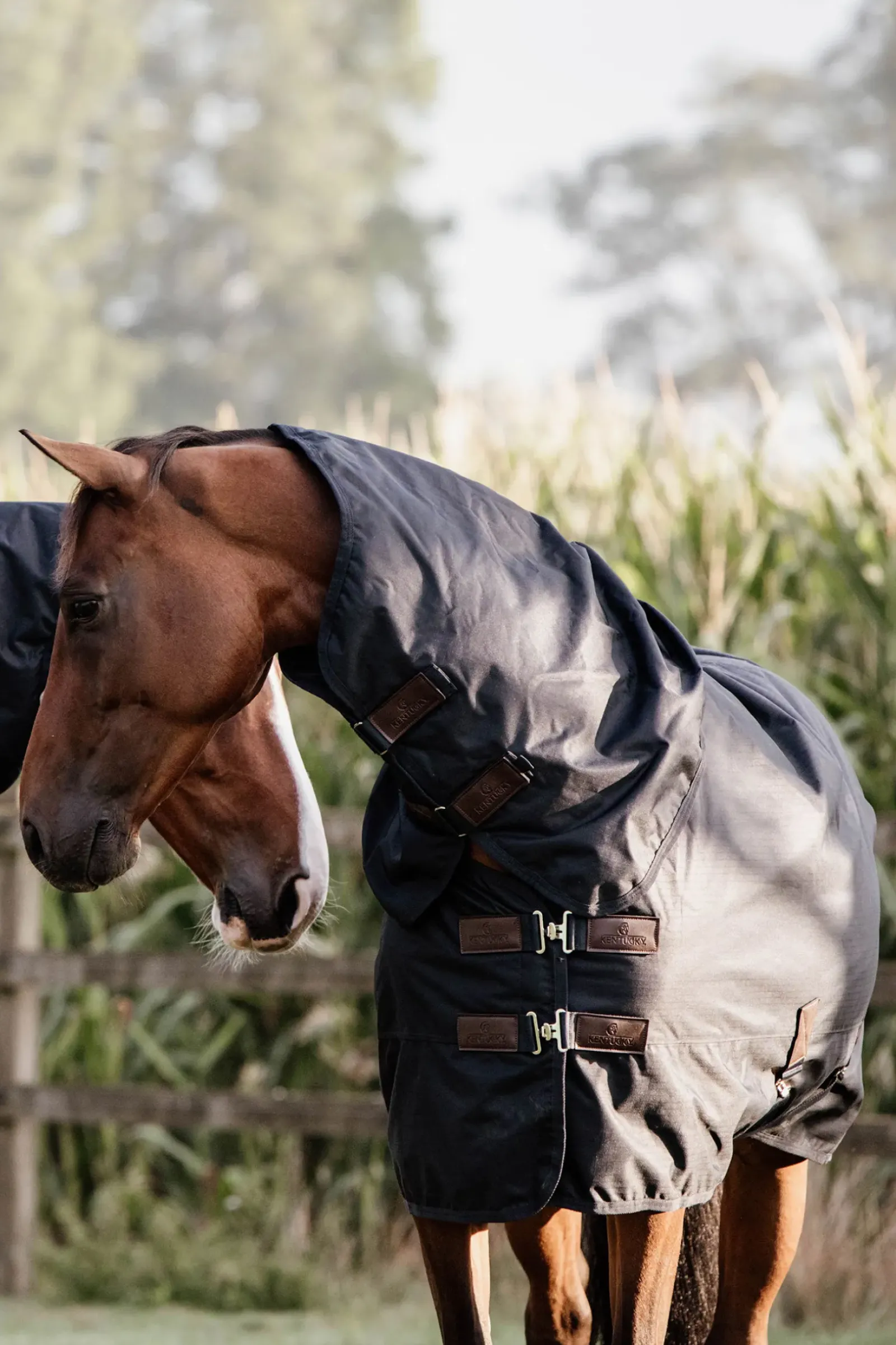 kentucky Horsewear Turnout Rug All Weather Waterproof Classic, 0G Db/Ab